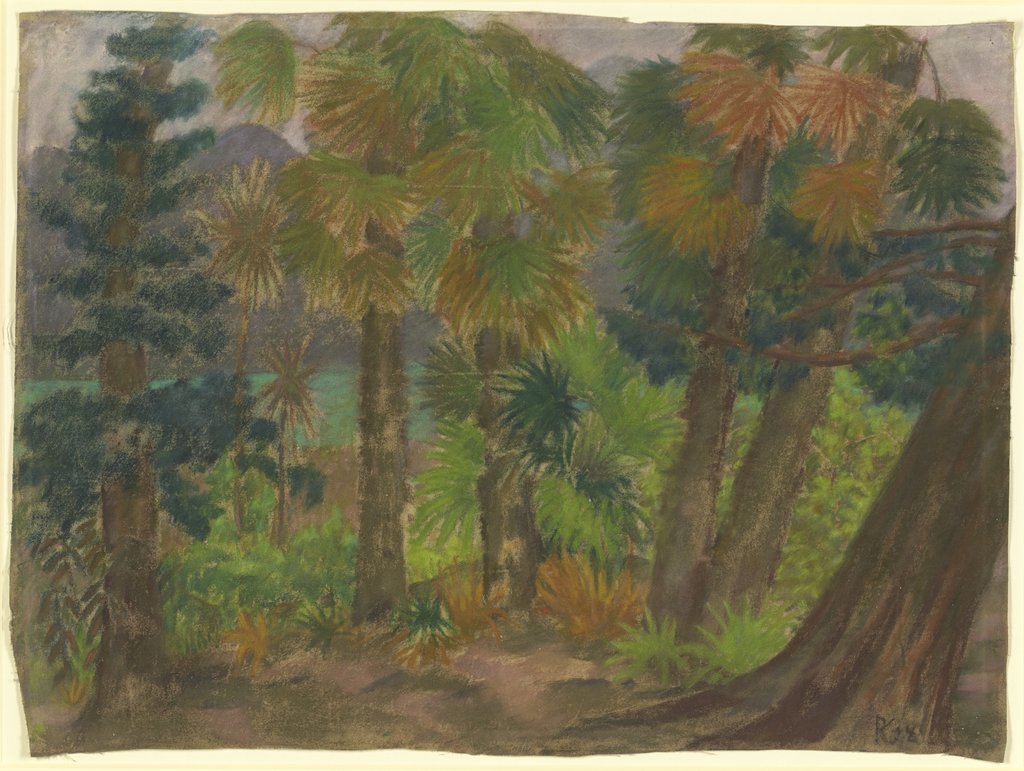 Palmenwald