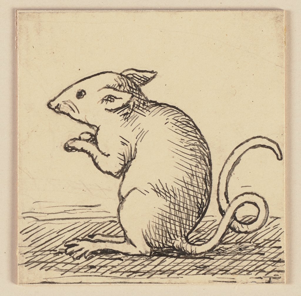Zeichnung zur Fibel: Maus