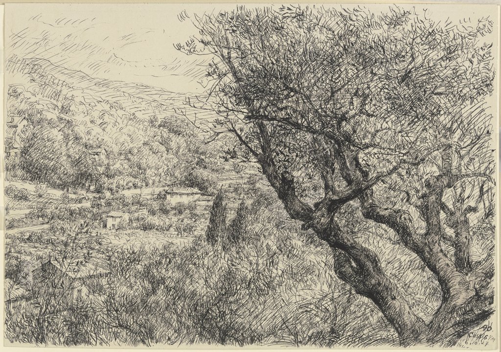 Bewaldetes Tal (Cassis)