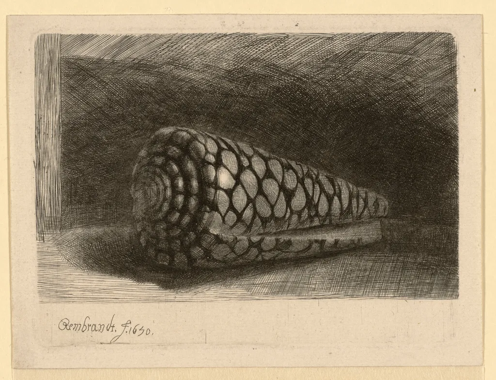 Die Muschel