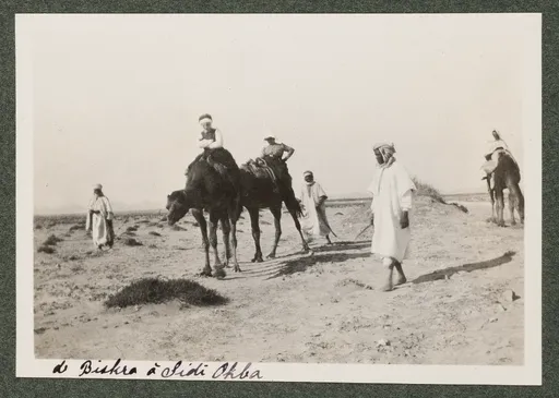 Ottilie W. Roederstein und Elisabeth H. Winterhalter auf Dromedaren mit Reiseführern in der Wüste zwischen Biskra und Sidi Okba