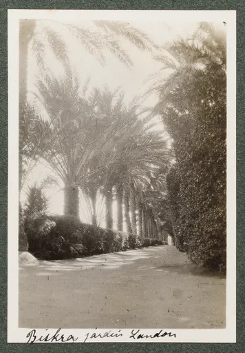 Der Landon Garten in Biskra