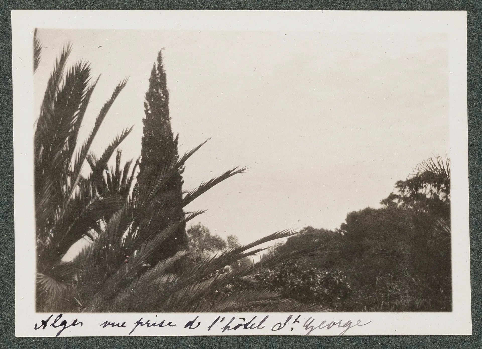 Garten des Hôtel Saint-George in Algier