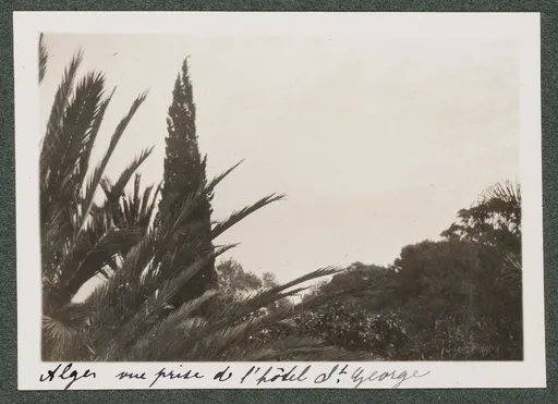 Garten des Hôtel Saint-George in Algier