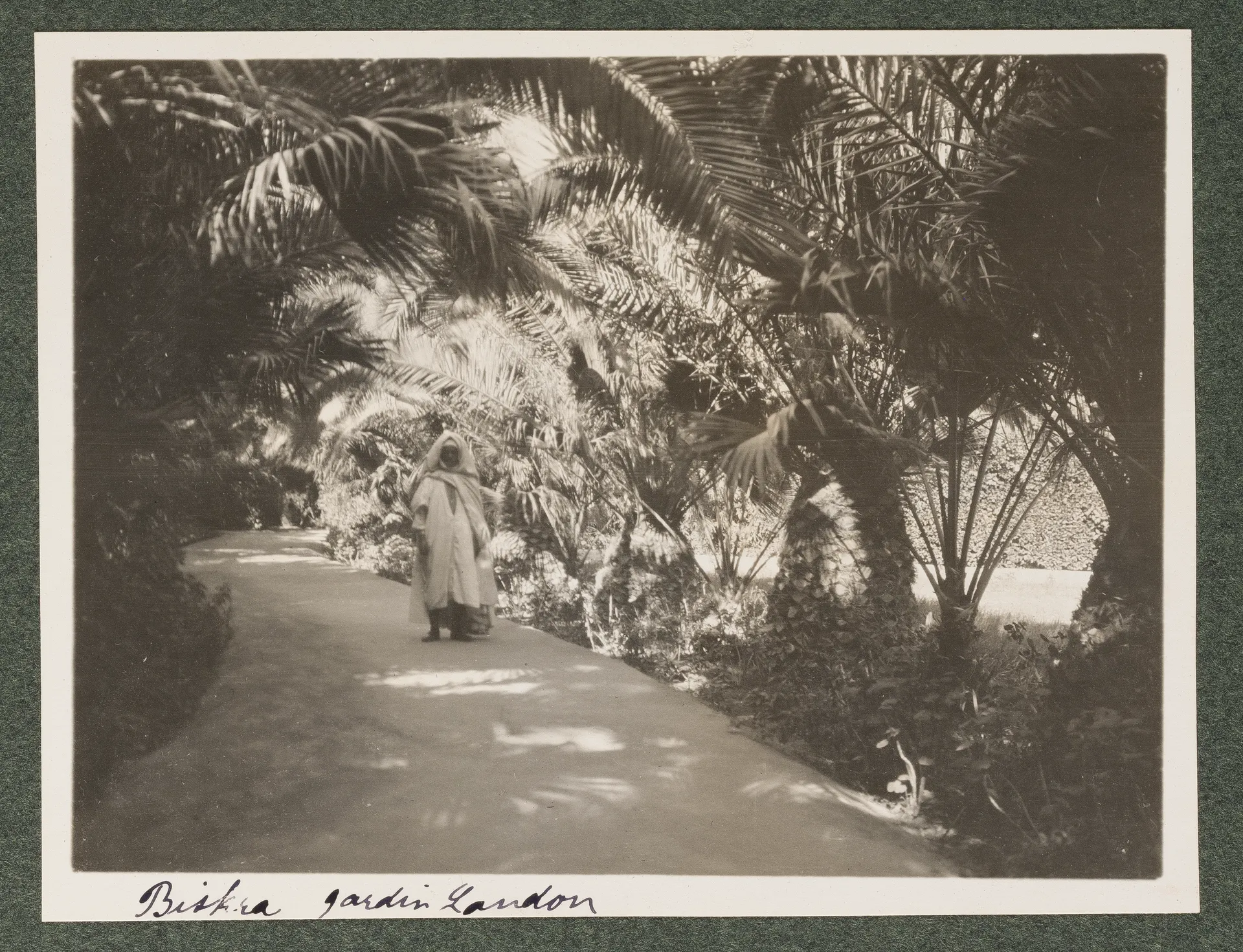 Der Reiseführer im Landon Garten in Biskra