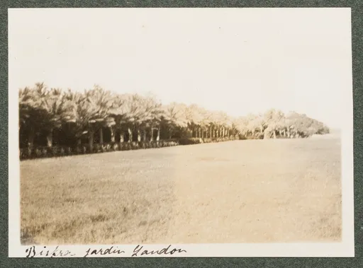 Der Landon Garten in Biskra