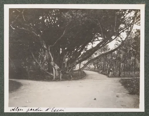 Der botanische Garten Hamma in Algier