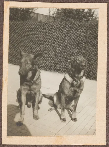 Die Hunde von Ottilie W. Roederstein und Elisabeth H. Winterhalter, Hofheim am Taunus