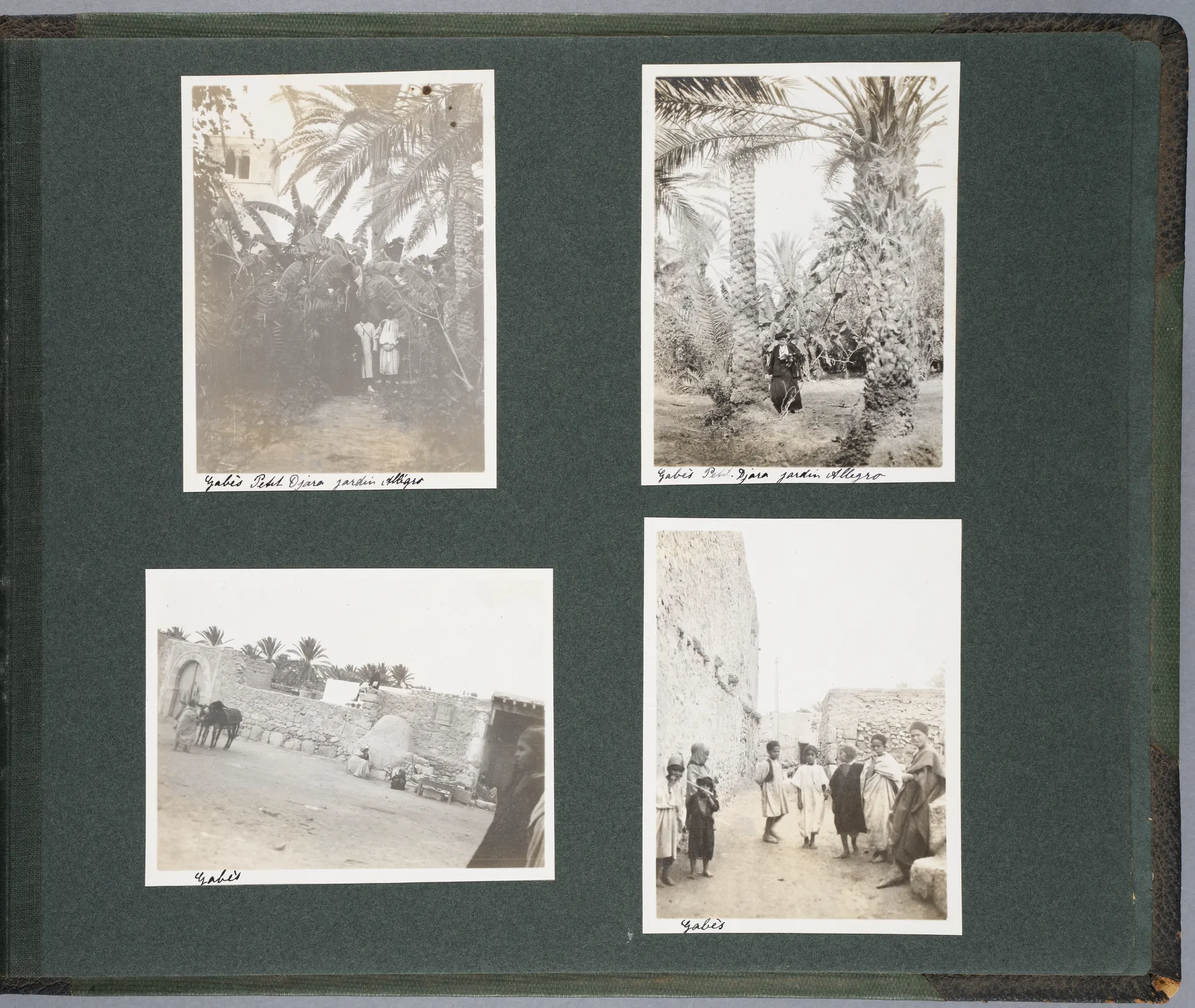 Fotoalbum Tunisie – Algérie, 22 Nov. – 22 Déc. 1913 (Bd. 1), Seite 43