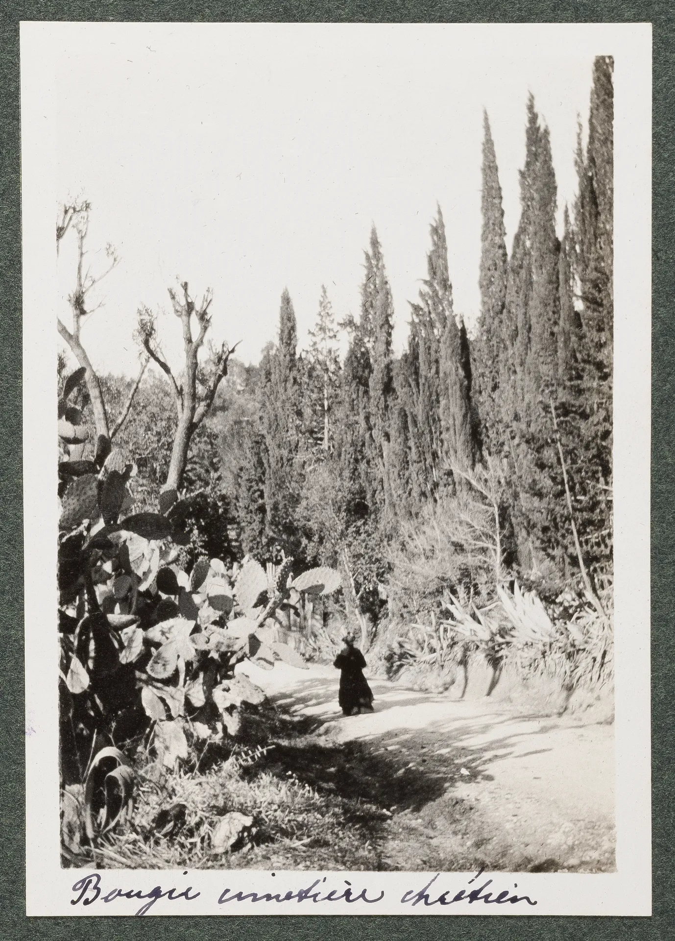 Der christliche Friedhof in Bejaïa