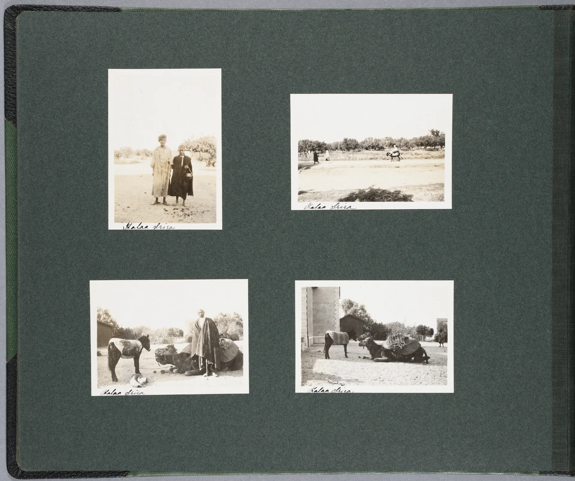 Fotoalbum Tunisie – Algérie, 22 Nov. – 22 Déc. 1913 (Bd. 1), Seite 24
