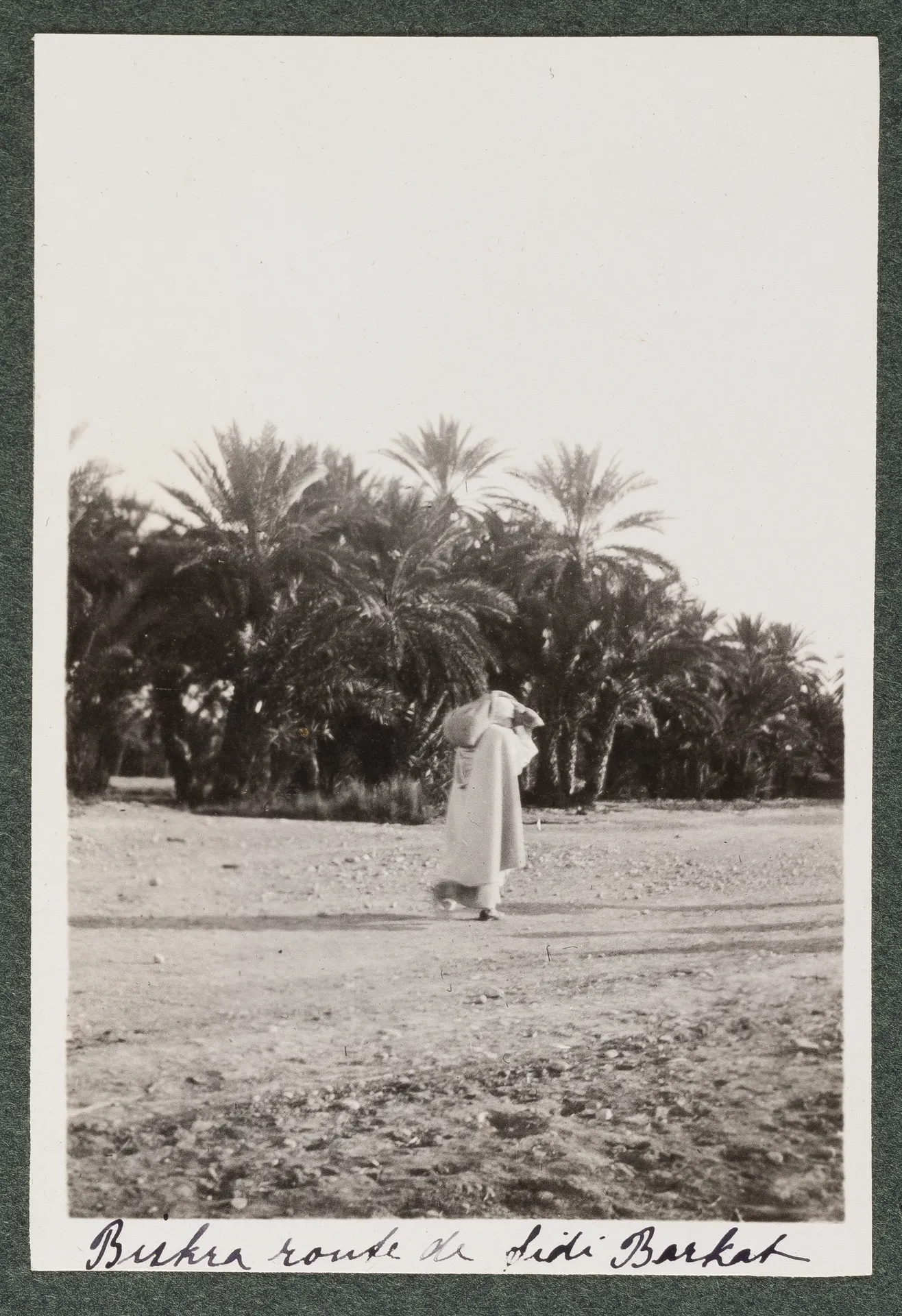Biskra, Weg nach Sidi Barkat