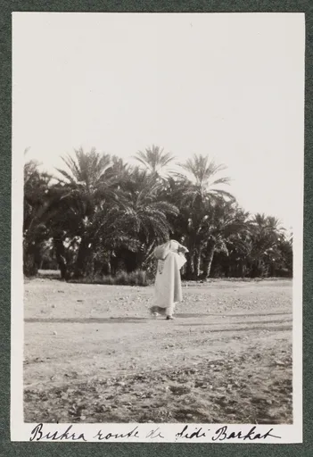 Biskra, Weg nach Sidi Barkat