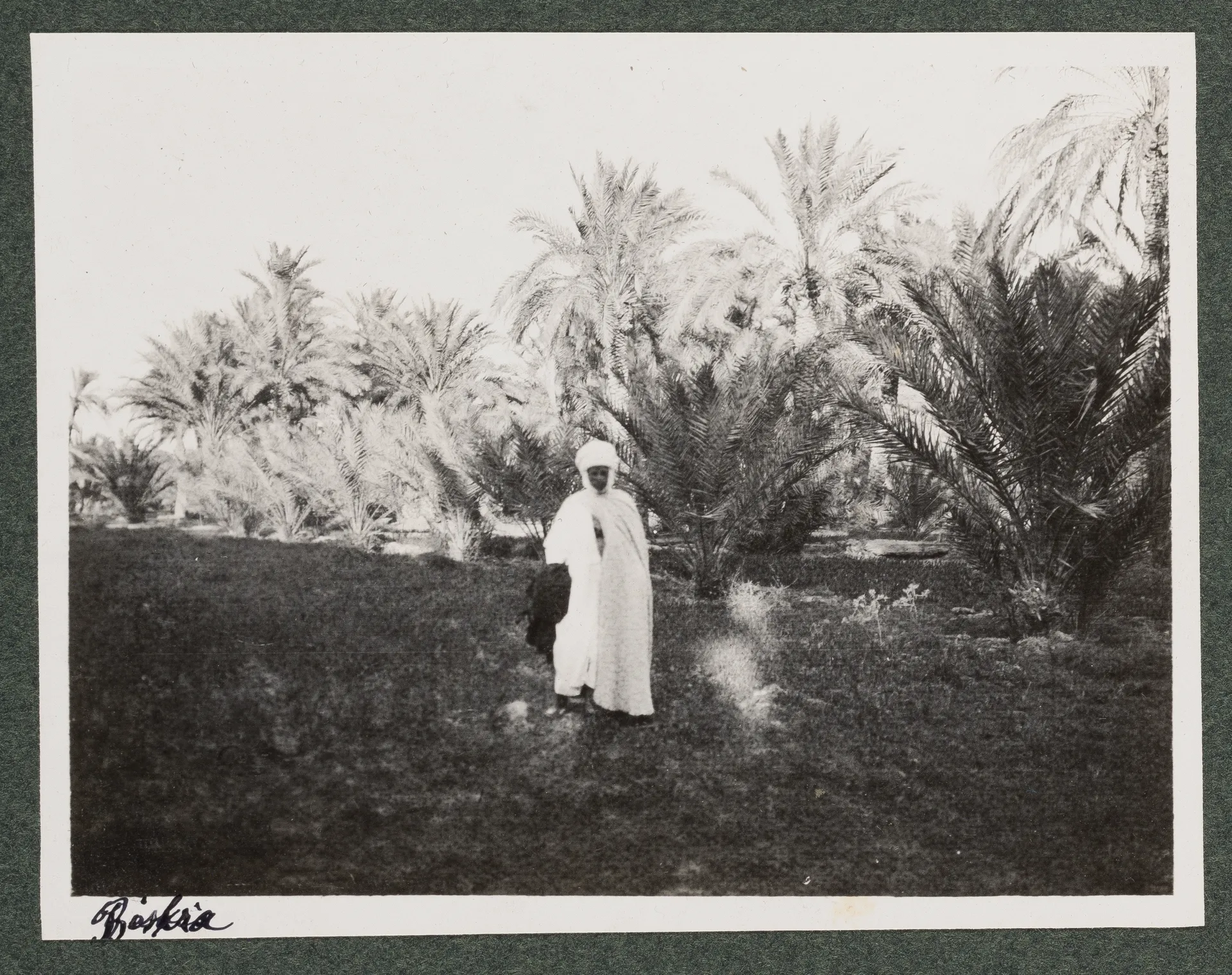 Reiseführer in Biskra