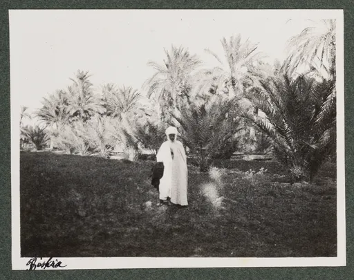 Reiseführer in Biskra