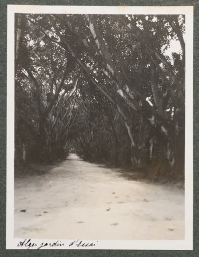 Der botanische Garten Hamma in Algier