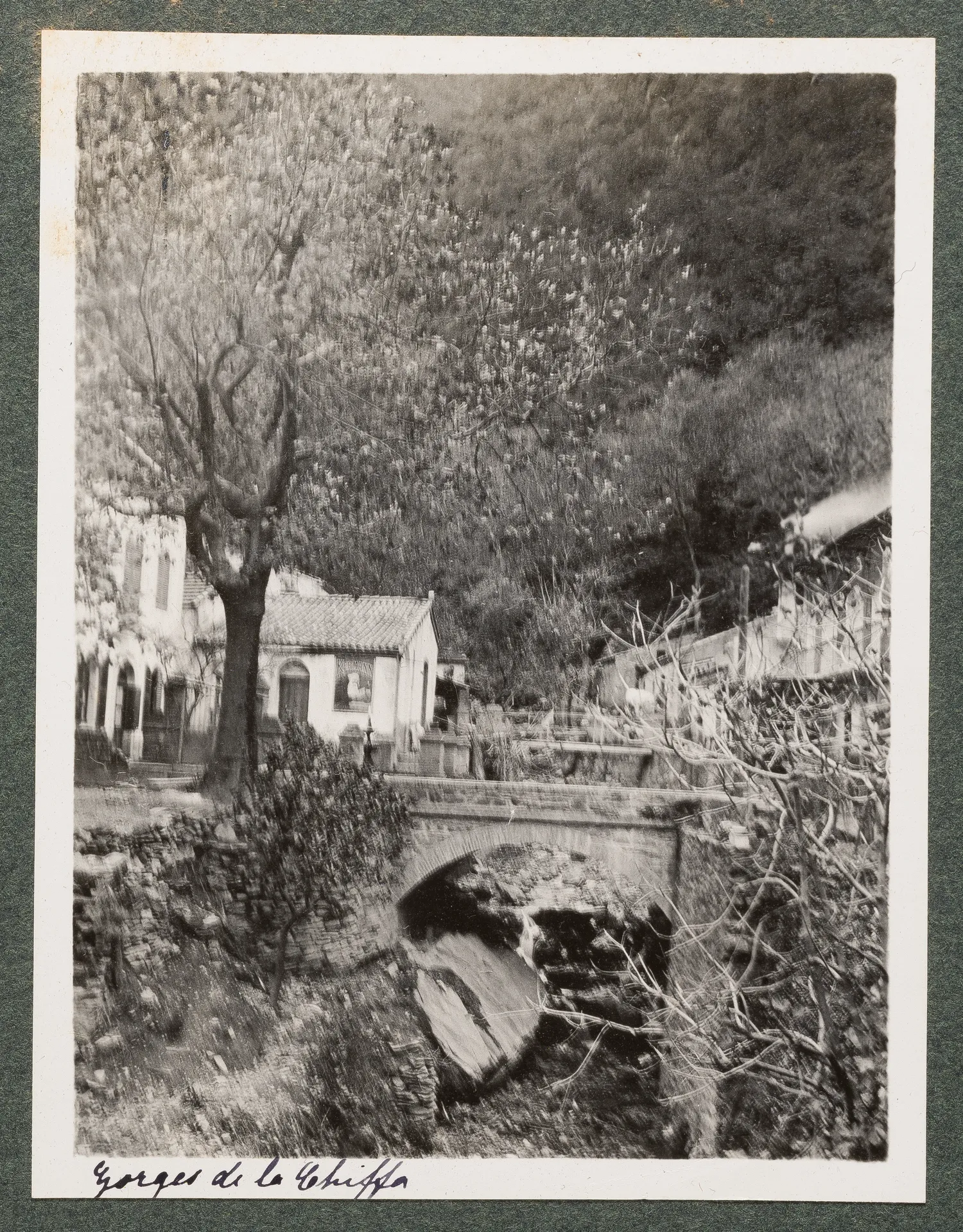 Die Gorges de la Chiffa bei Blida