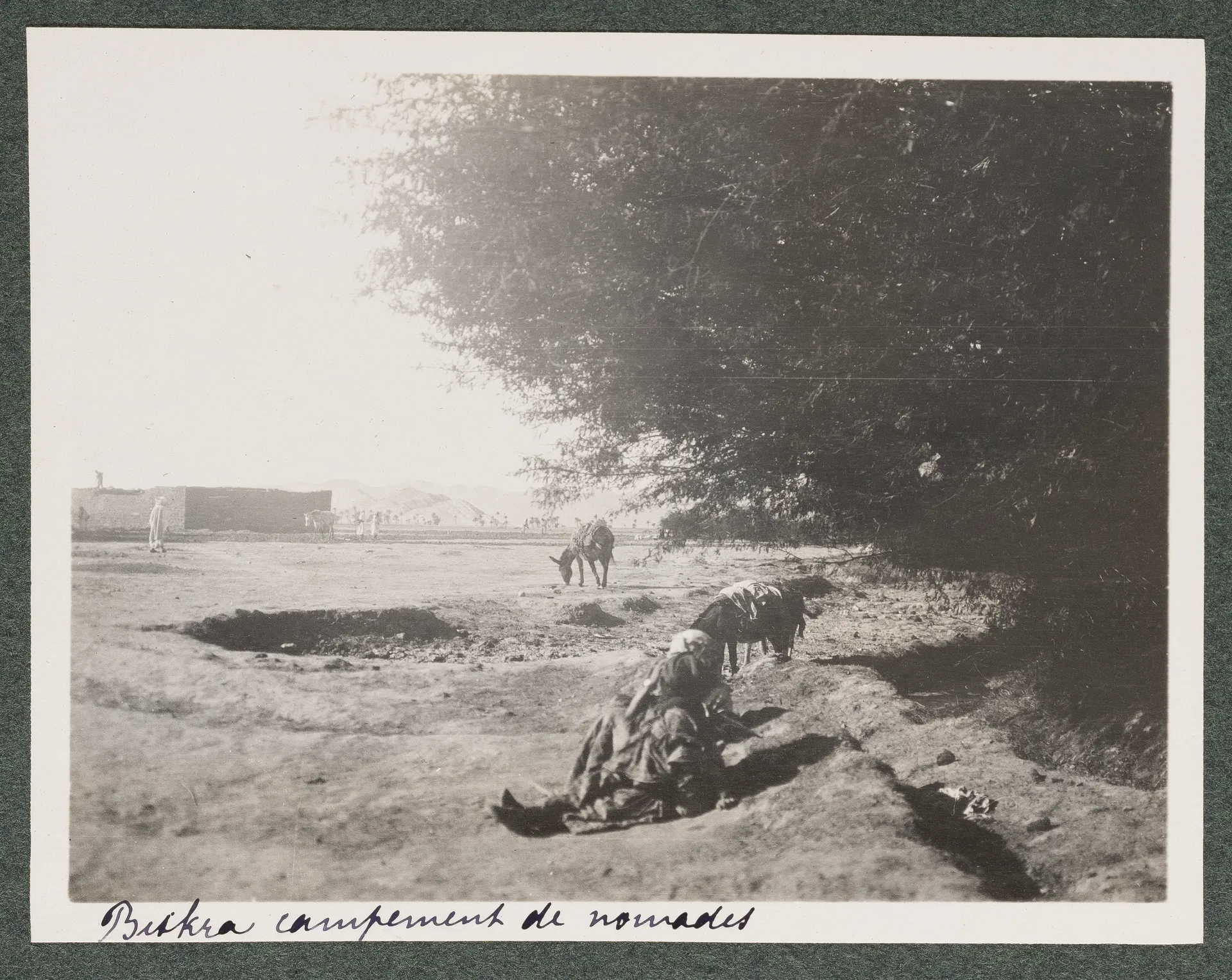 Nomadenlager in Biskra