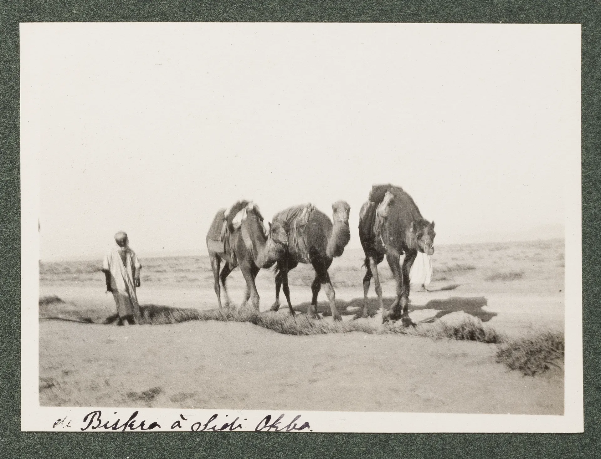 Zwischen Biskra und Sidi Okba