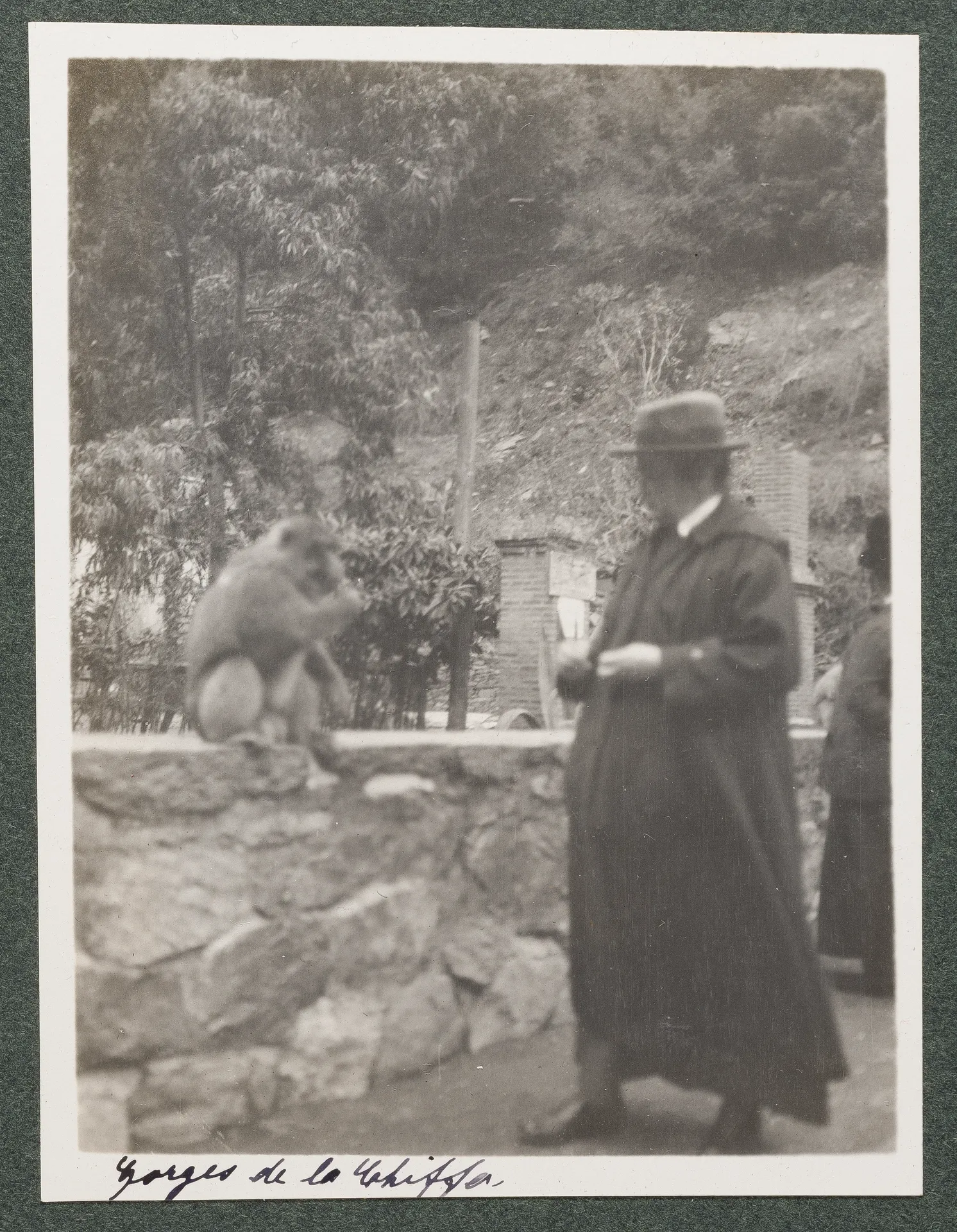 Ottilie W. Roederstein beim Affenfüttern in den Gorges de la Chiffa