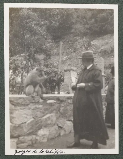 Ottilie W. Roederstein beim Affenfüttern in den Gorges de la Chiffa