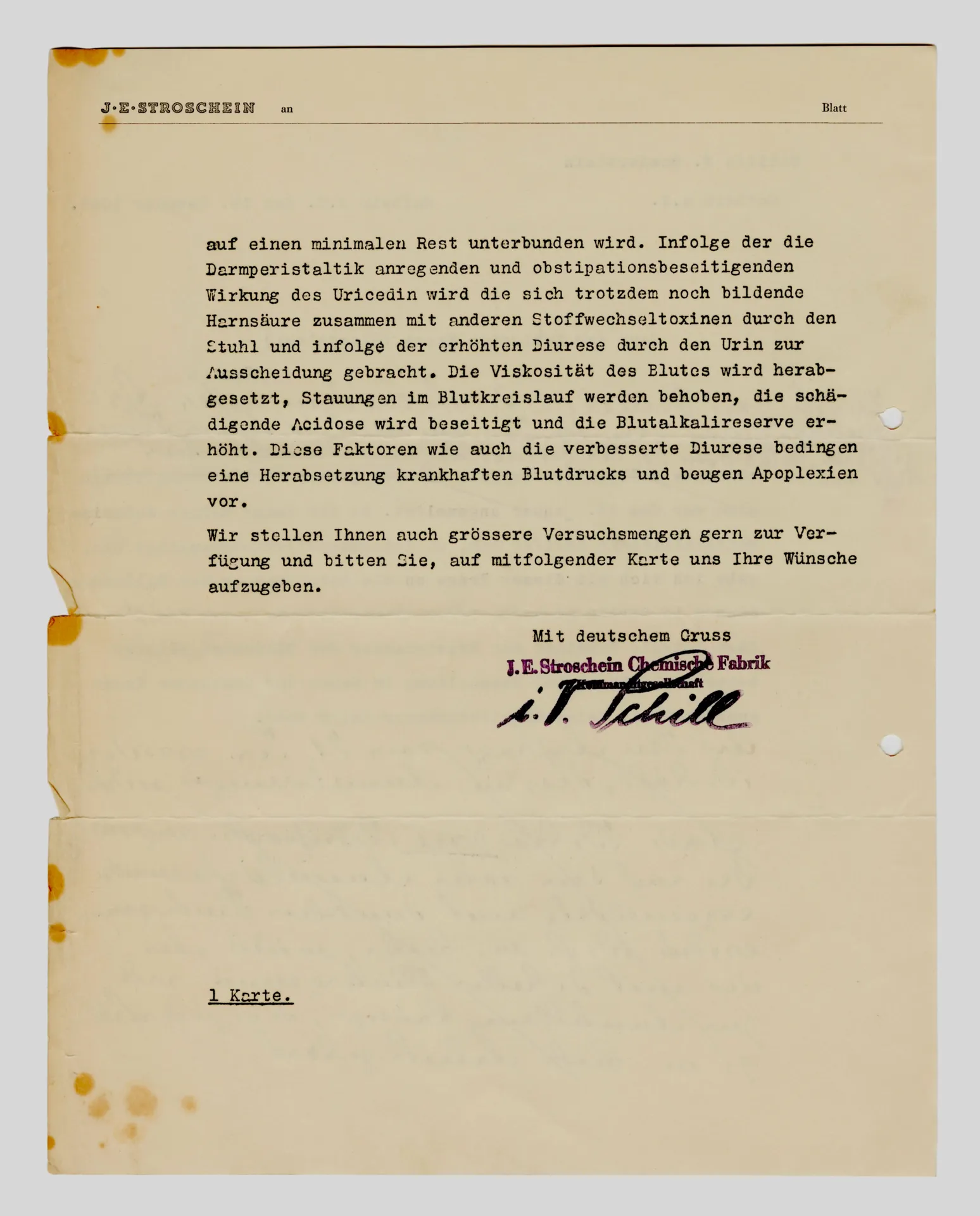 Briefentwurf von Ottilie W. Roederstein an das Haus der Deutschen Kunst, 19. Februar 1937