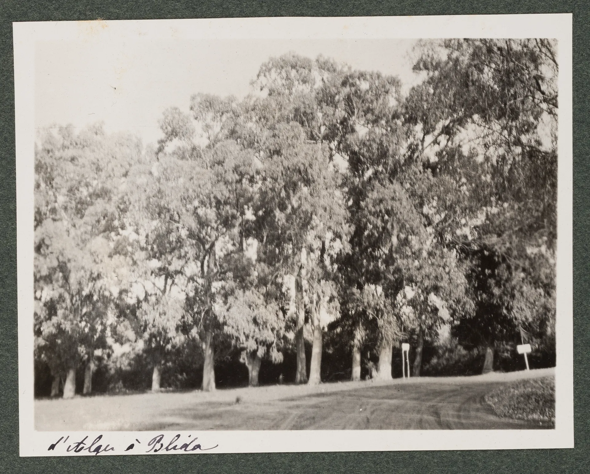 Landschaft zwischen Algier und Blida