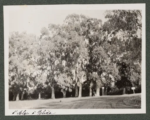 Landschaft zwischen Algier und Blida