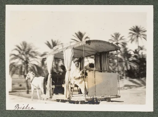 Pferdekutsche in Biskra