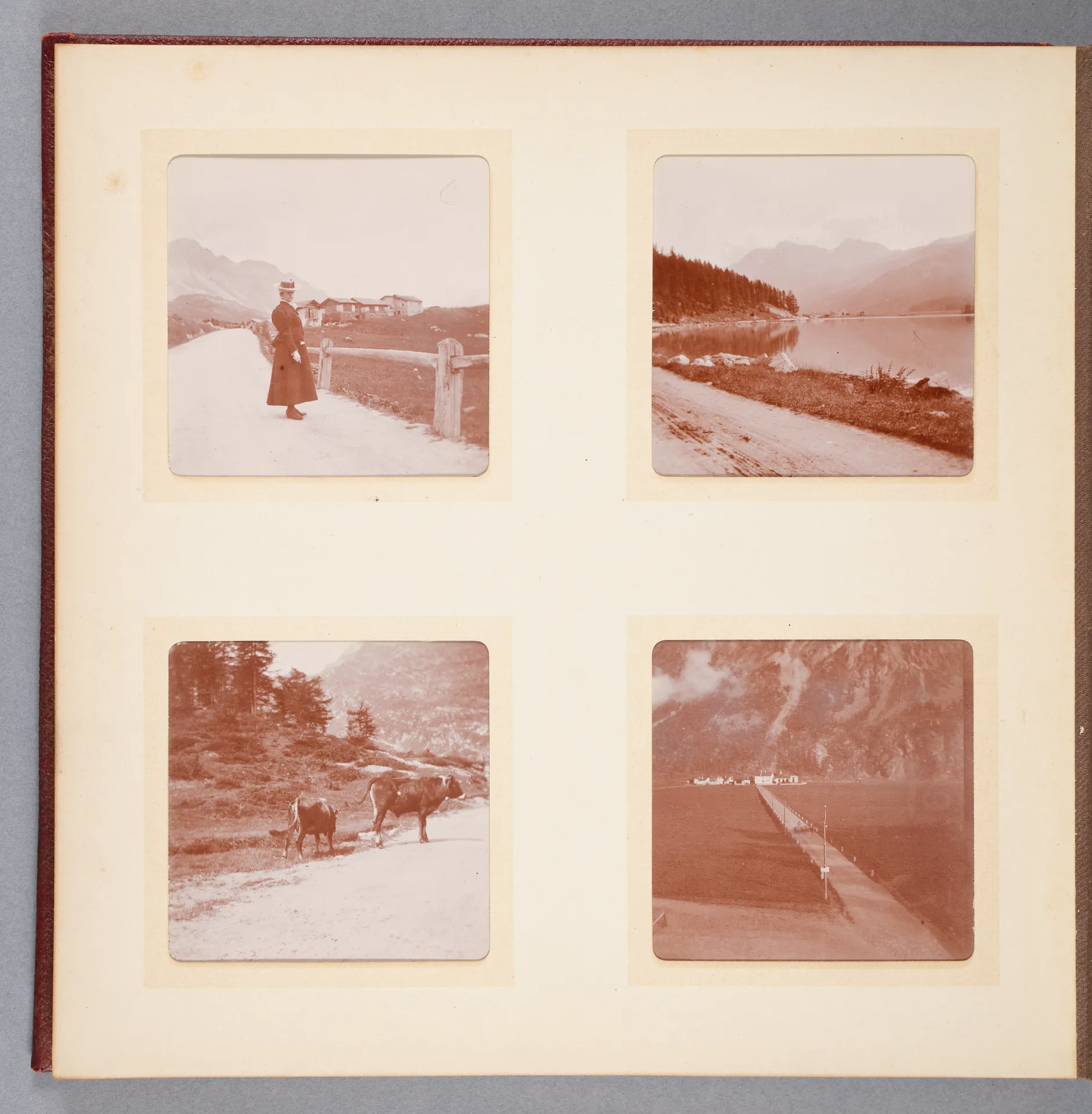 Fotoalbum: Zürich u. Sils Maria, 1898, Seite 15