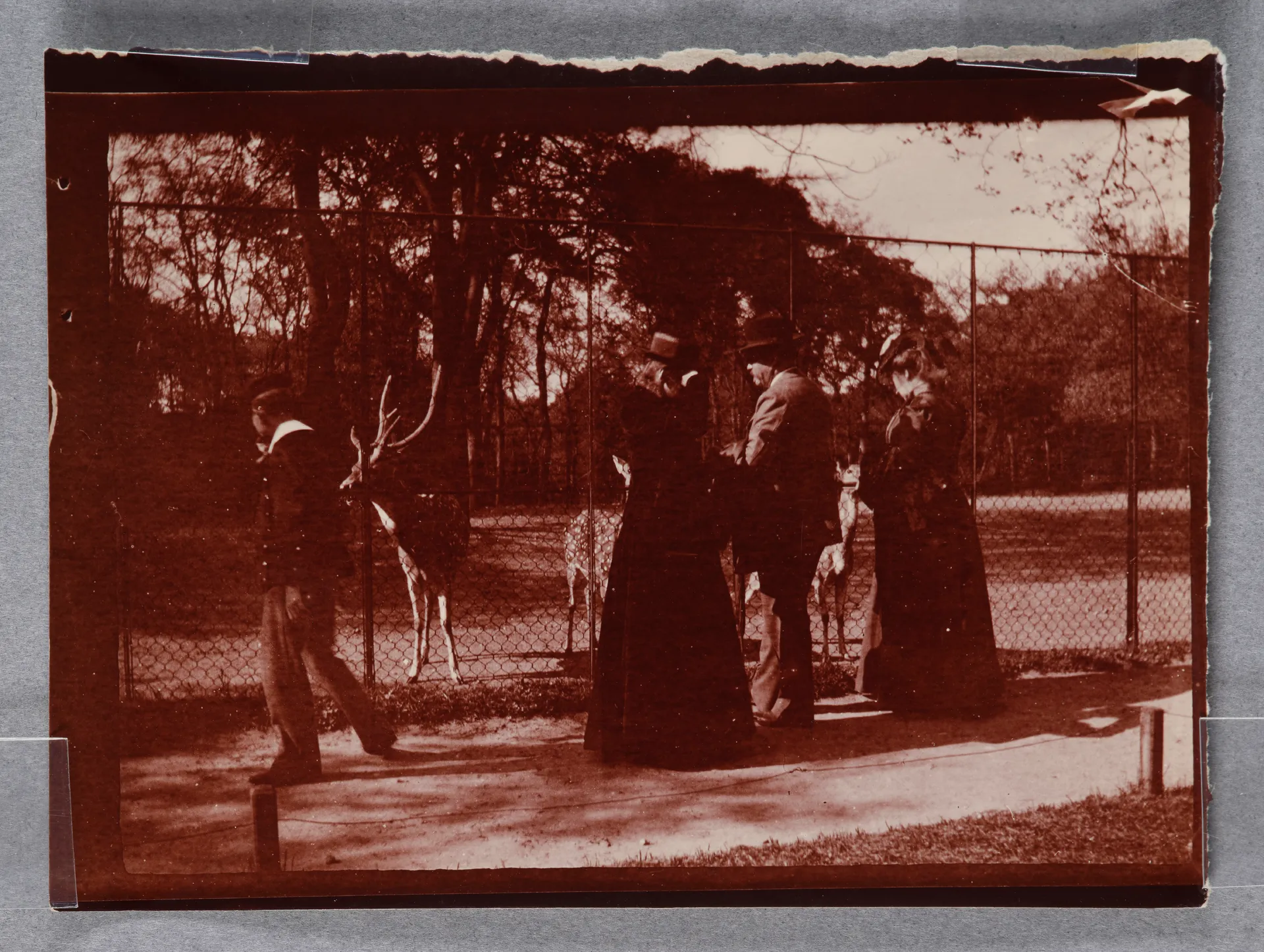 Ottilie W. Roederstein, Helene Häberlin-Roederstein und Karl Häberlin im Jardin d'acclimatation, Paris, Bois-de-Boulogne