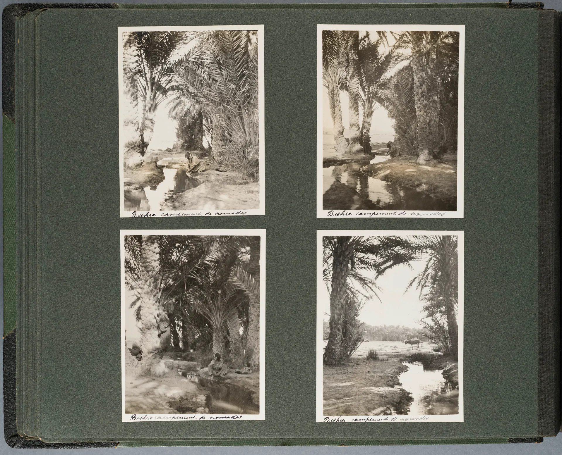 Fotoalbum: Tunisie - Algérie 22 Nov. - 22 Déc. 1913 (Bd. 2), Seite 22