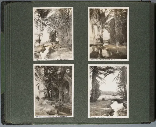 Fotoalbum: Tunisie - Algérie 22 Nov. - 22 Déc. 1913 (Bd. 2), Seite 22