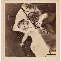2. Münchener Jahresausstellung von Kunstwerken aller Nationen 1890