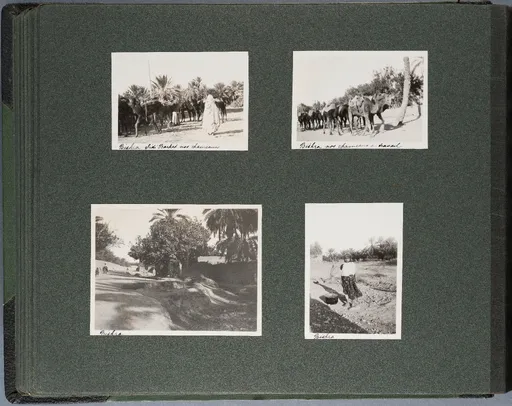 Fotoalbum: Tunisie - Algérie 22 Nov. - 22 Déc. 1913 (Bd. 2), Seite 34