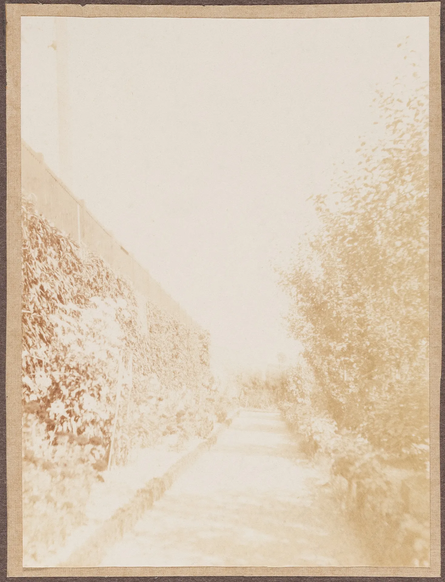 Der Garten von Ottilie W. Roederstein und Elisabeth H. Winterhalter, Hofheim am Taunus