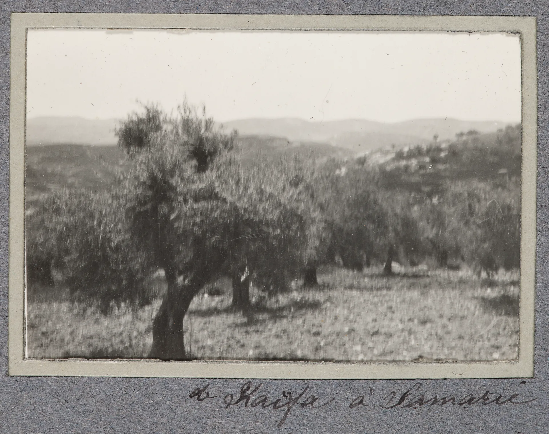 Zwischen Haifa und Samarien