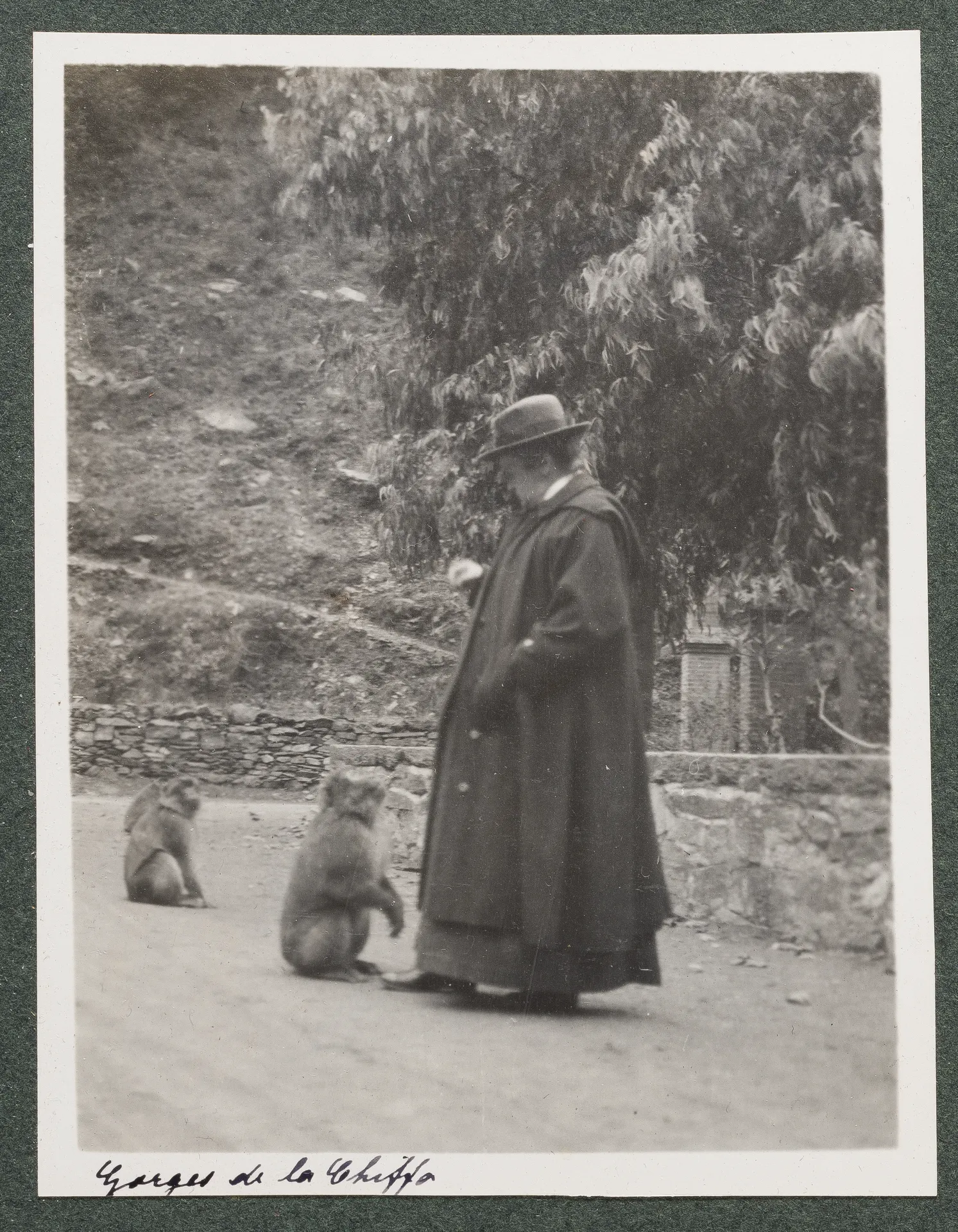 Ottilie W. Roederstein beim Affenfüttern in den Gorges de la Chiffa