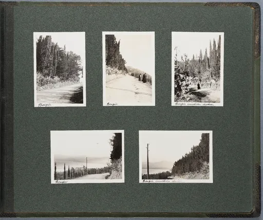 Fotoalbum: Tunisie - Algérie 22 Nov. - 22 Déc. 1913 (Bd. 2), Seite 41