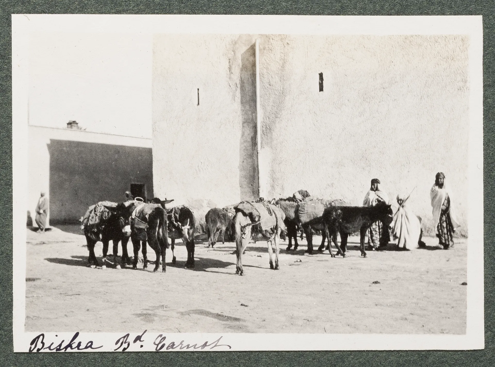 Esel auf dem Boulevard Carnot, Biskra
