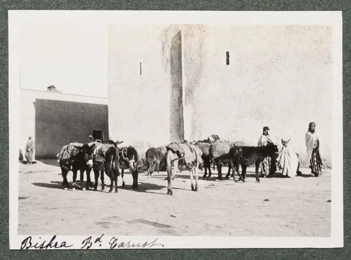Esel auf dem Boulevard Carnot, Biskra