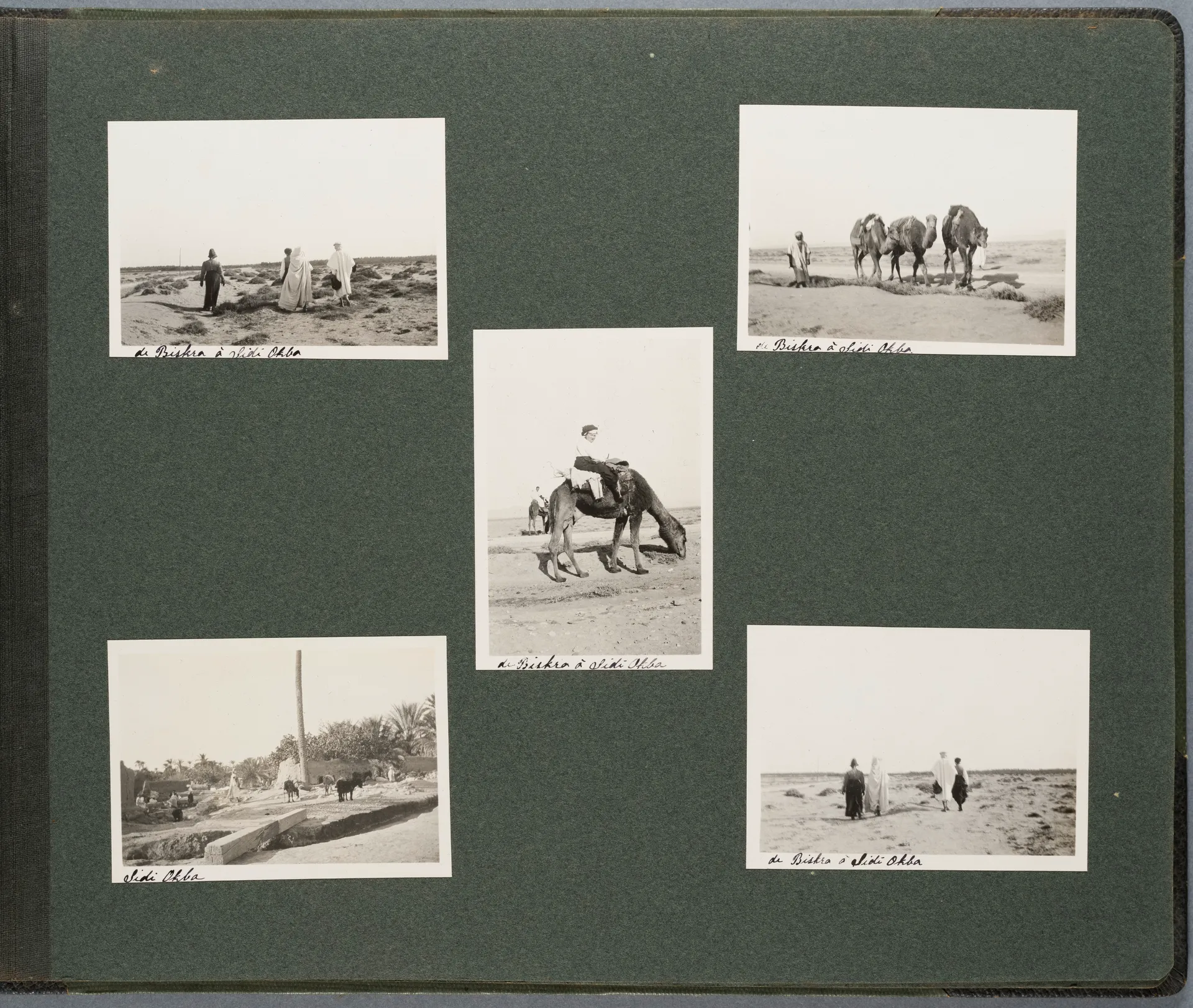 Fotoalbum: Tunisie - Algérie 22 Nov. - 22 Déc. 1913 (Bd. 2), Seite 17
