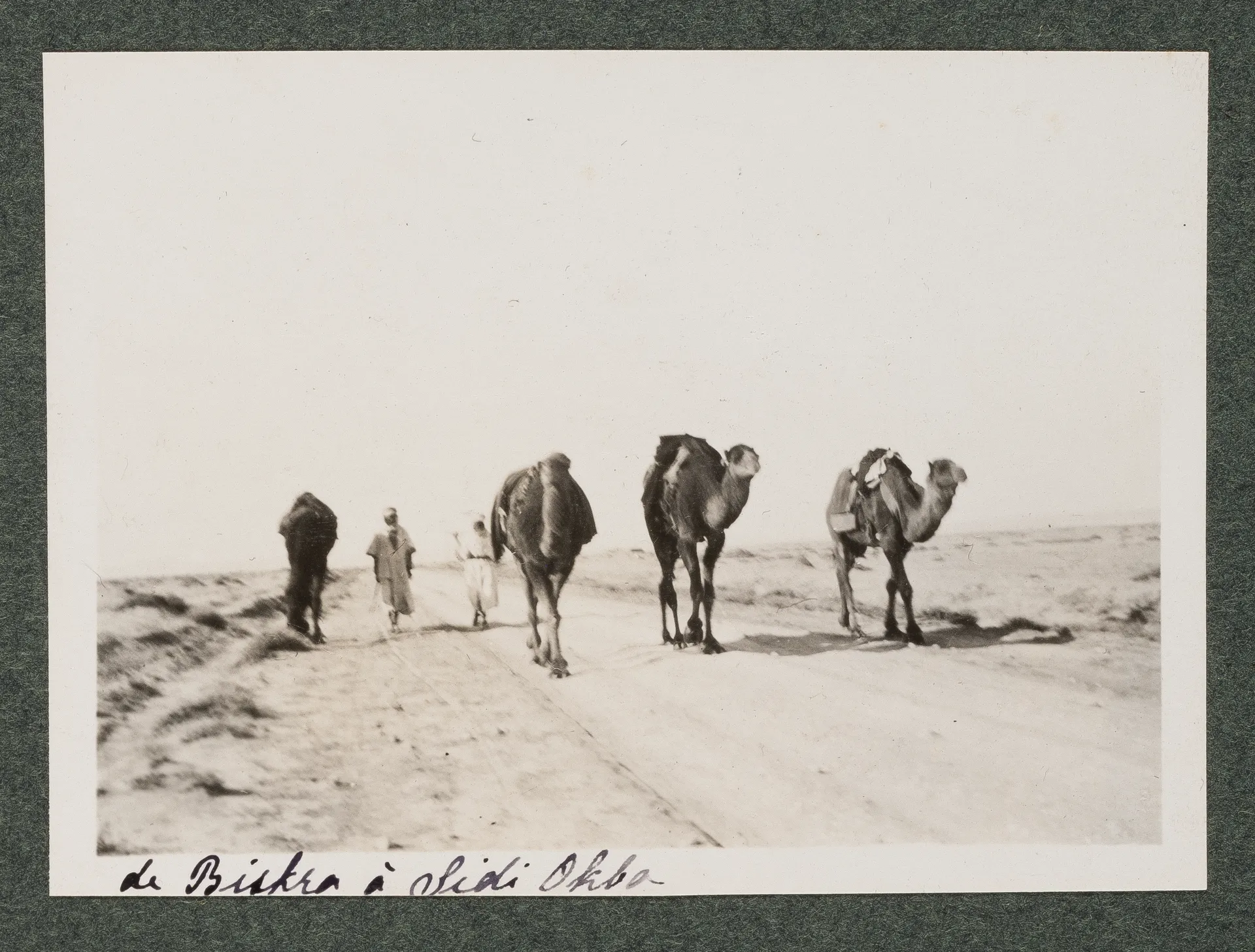 Zwischen Biskra und Sidi Okba