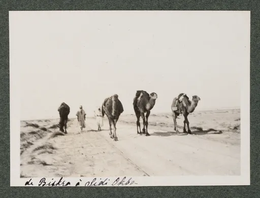 Zwischen Biskra und Sidi Okba