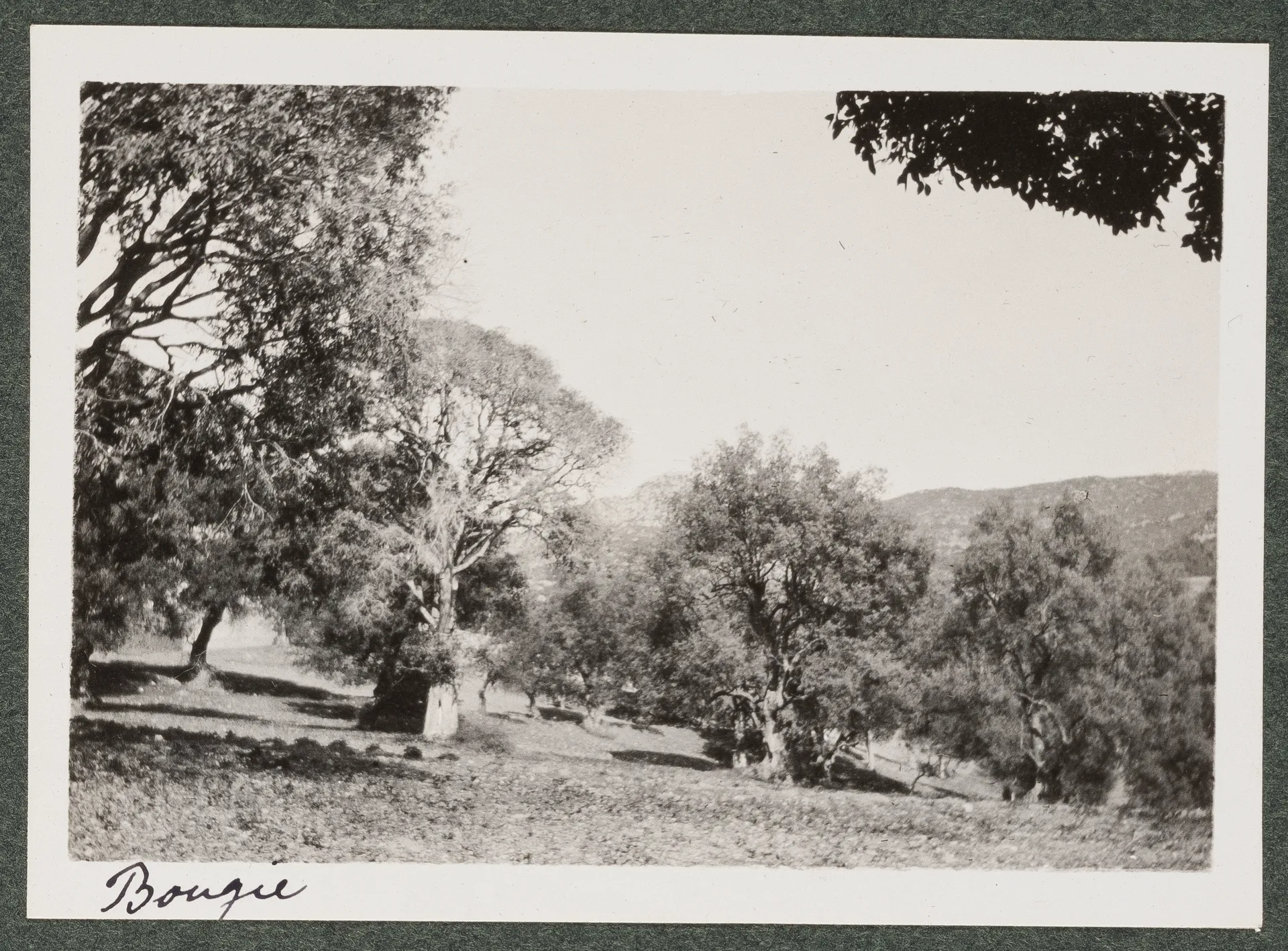 Landschaft in Bejaïa