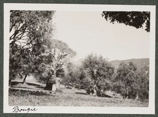 Landschaft in Bejaïa