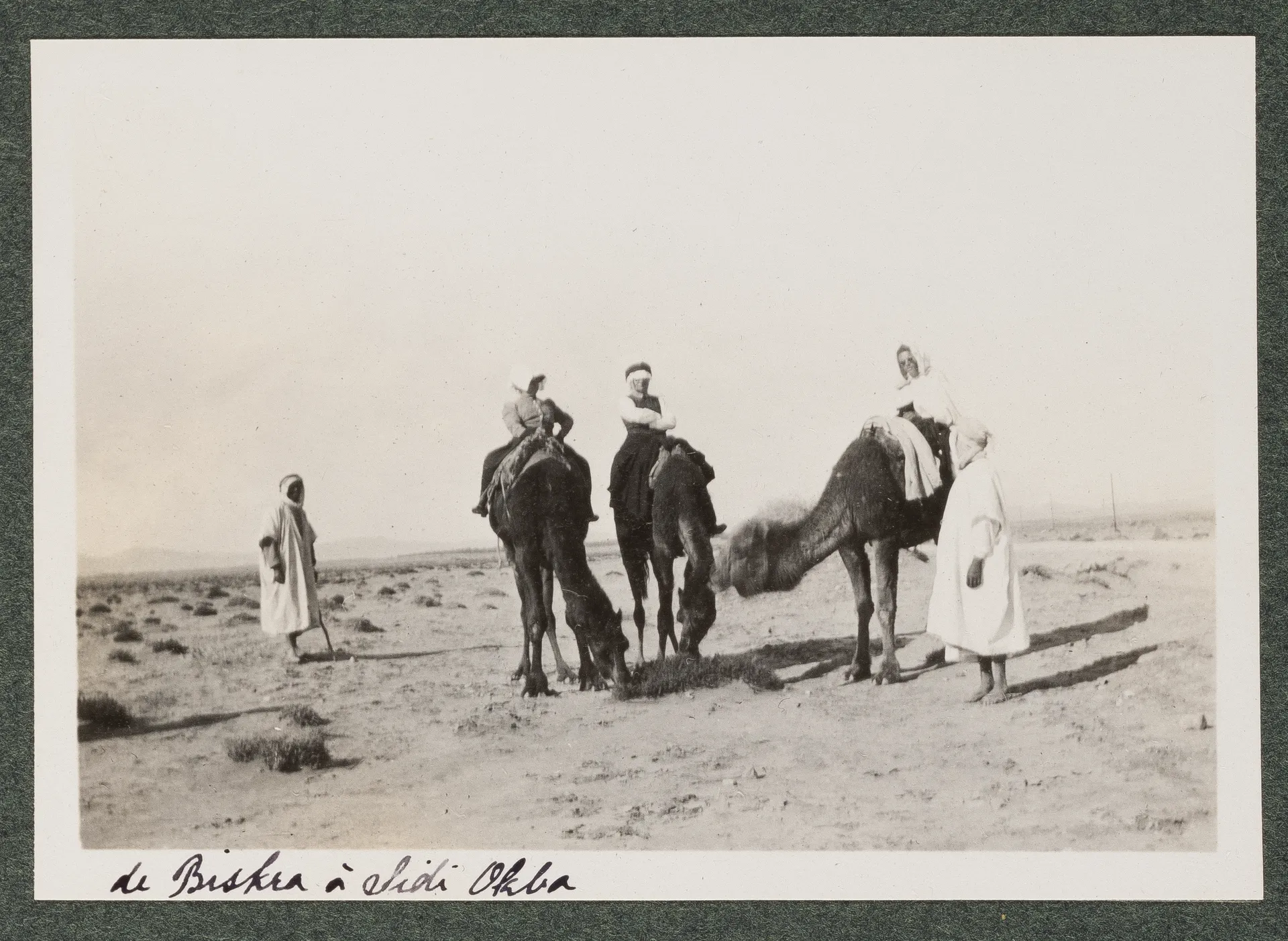Elisabeth H. Winterhalter und Ottilie W. Roederstein auf Dromedare mit Reiseführern in der Wüste zwischen Biskra und Sidi Okba
