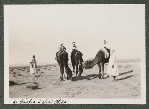Elisabeth H. Winterhalter und Ottilie W. Roederstein auf Dromedare mit Reiseführern in der Wüste zwischen Biskra und Sidi Okba