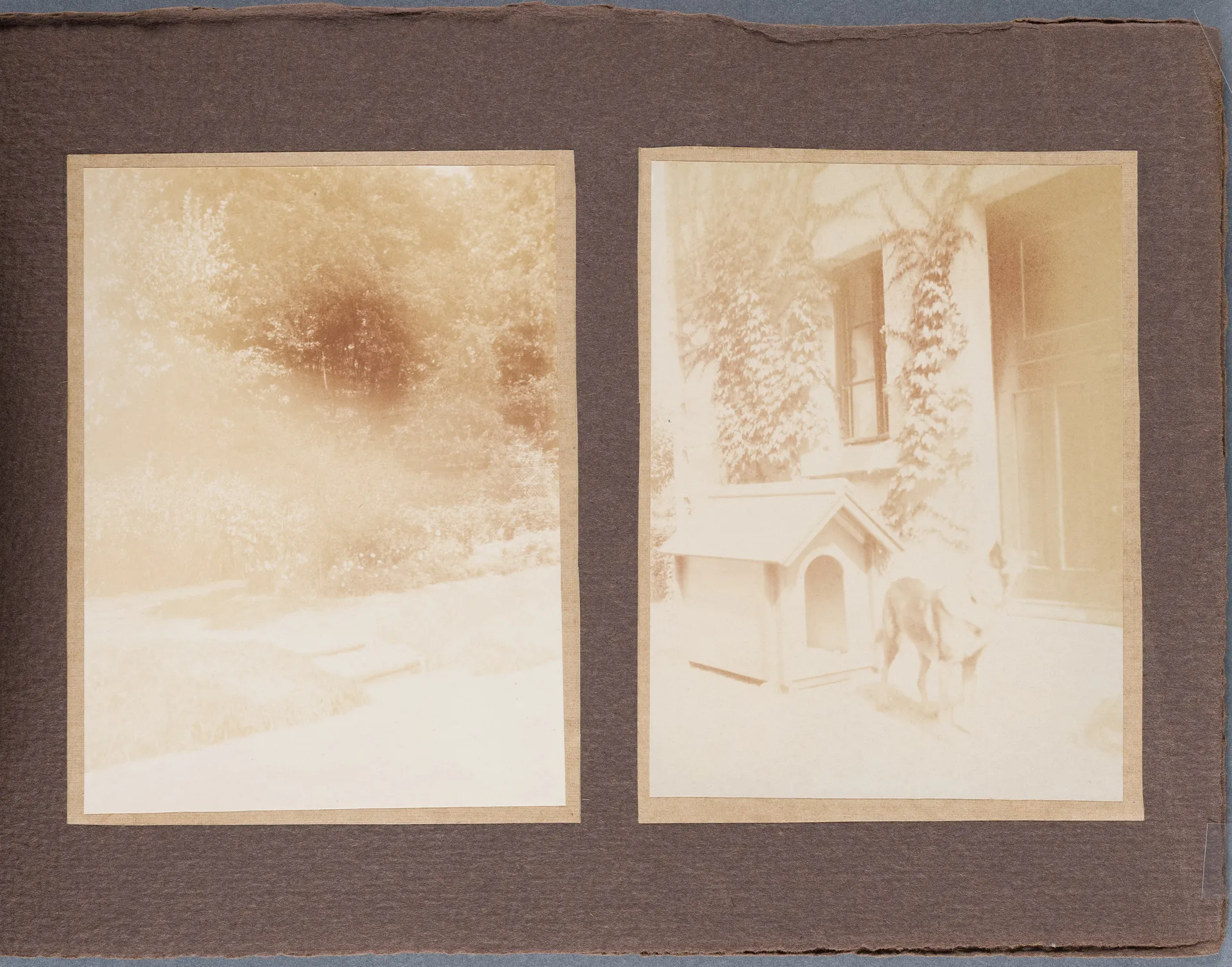 Fotoalbum: Hofheim Sommer 1913, Seite 7