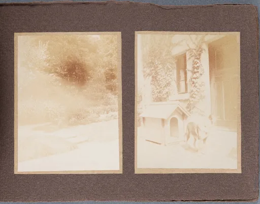 Fotoalbum: Hofheim Sommer 1913, Seite 7